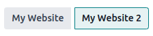 Multi-Language and Multi-Website Support