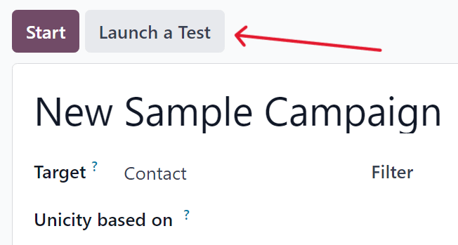 Testing & Launch