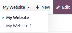 Multi-Website Support