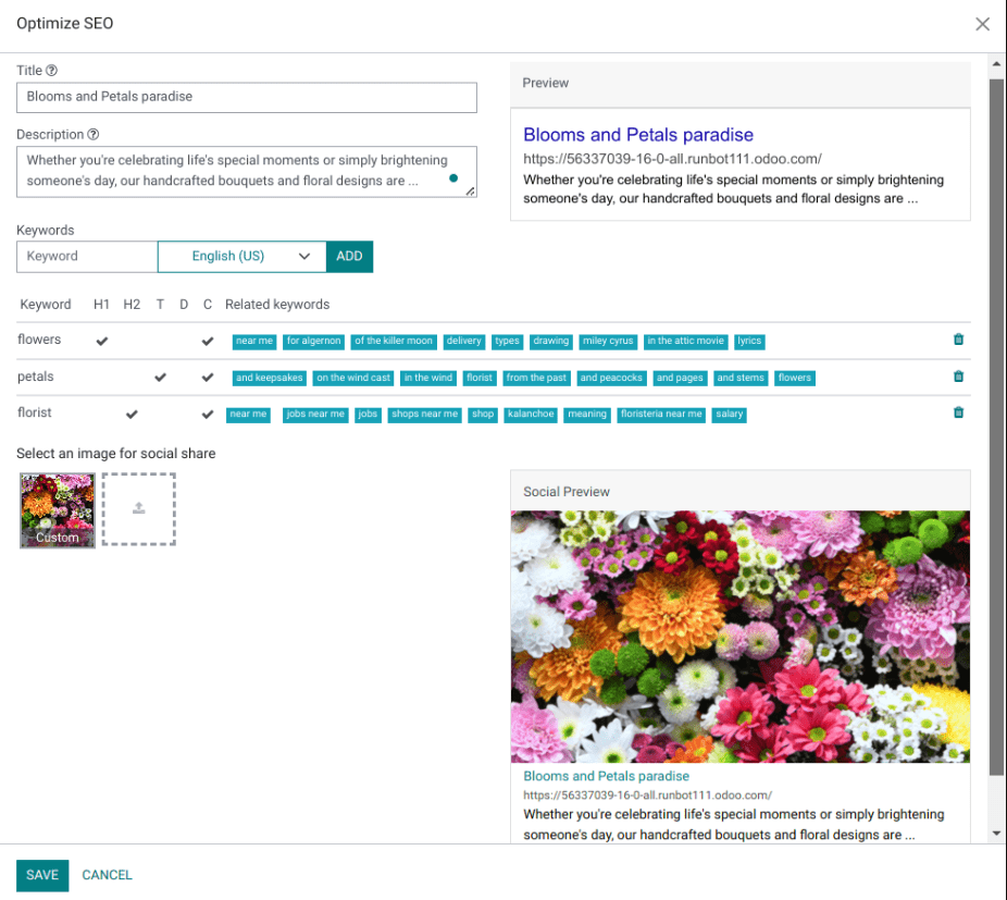 SEO Optimization Tools