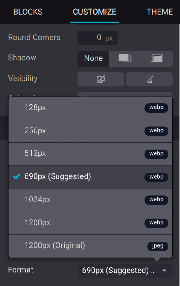 Auto WebP Conversion & Compression