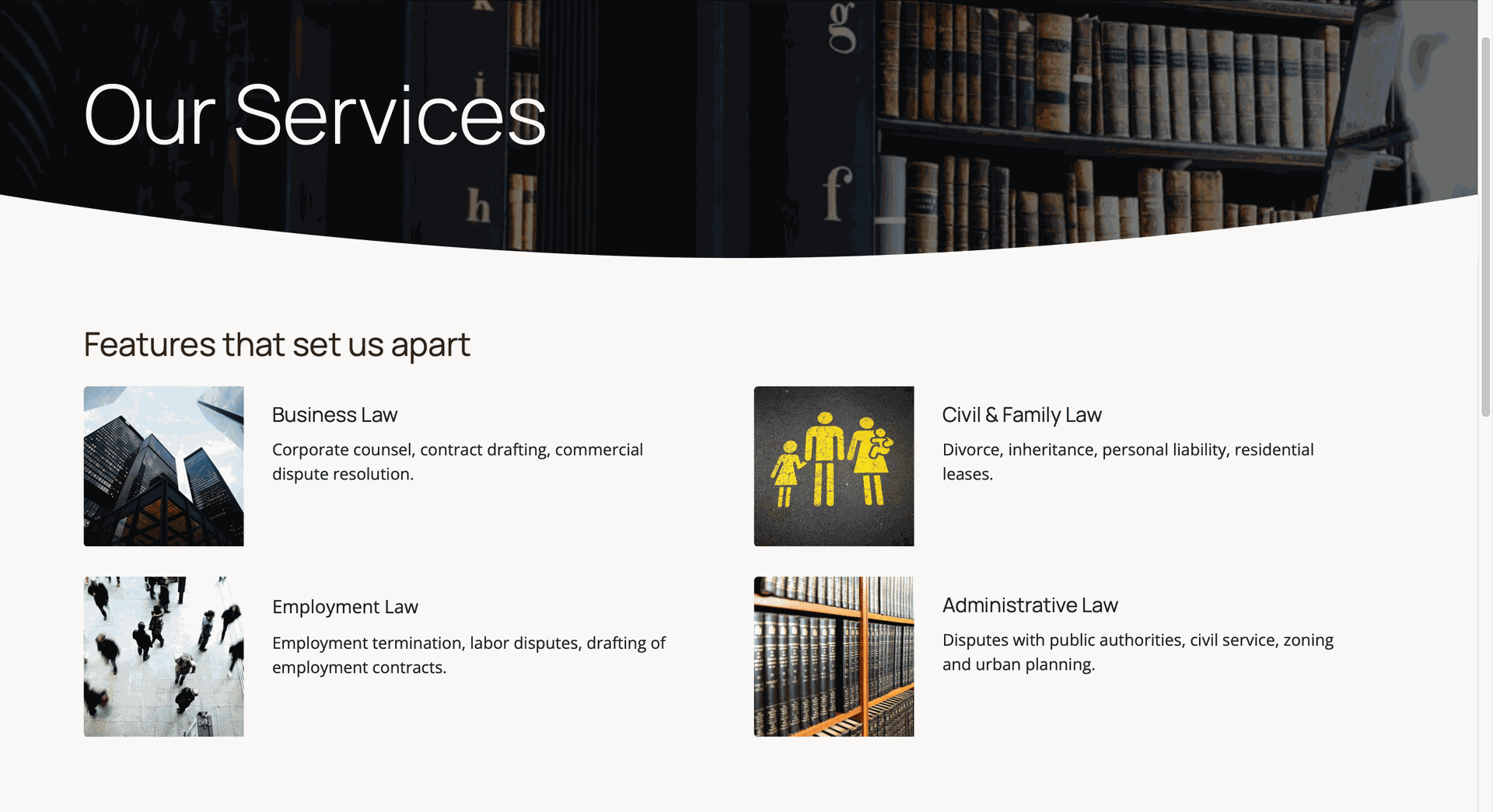 Professional Website